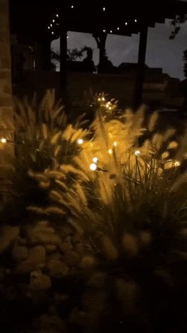 Luces Solares LED Luciérnagas Jardín