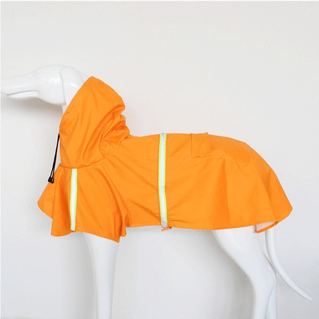 Ropa impermeable para perros